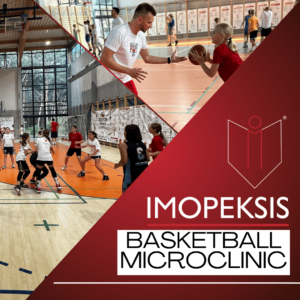 Plakat MikroKlinika Koszykówki