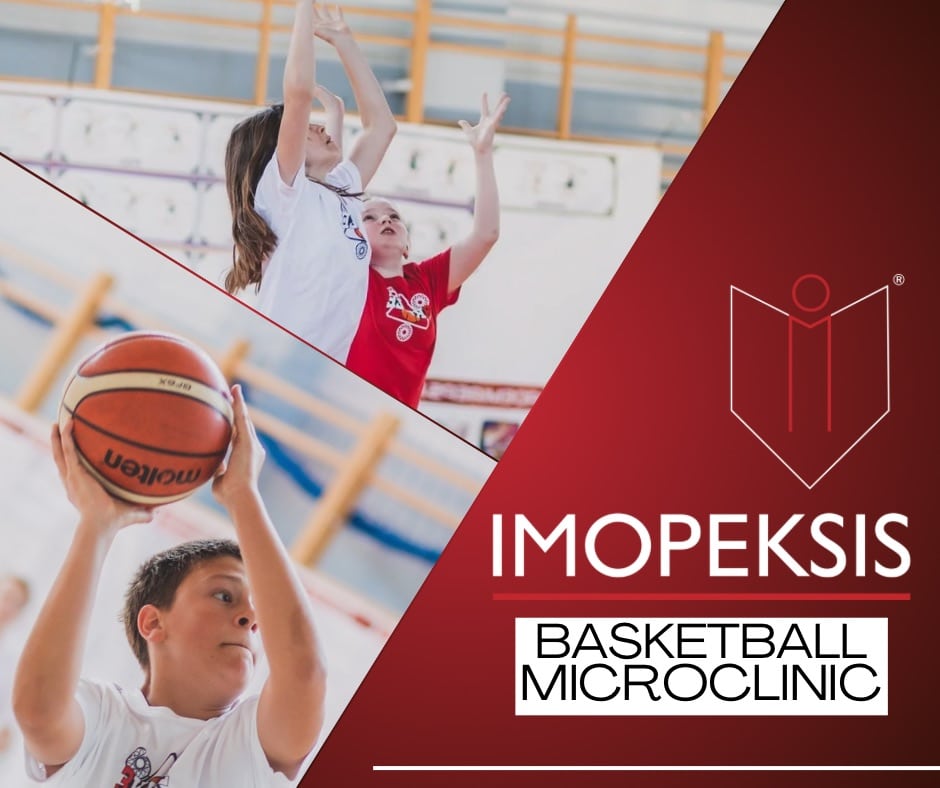 Plakat Koszykówka Mikroklinika